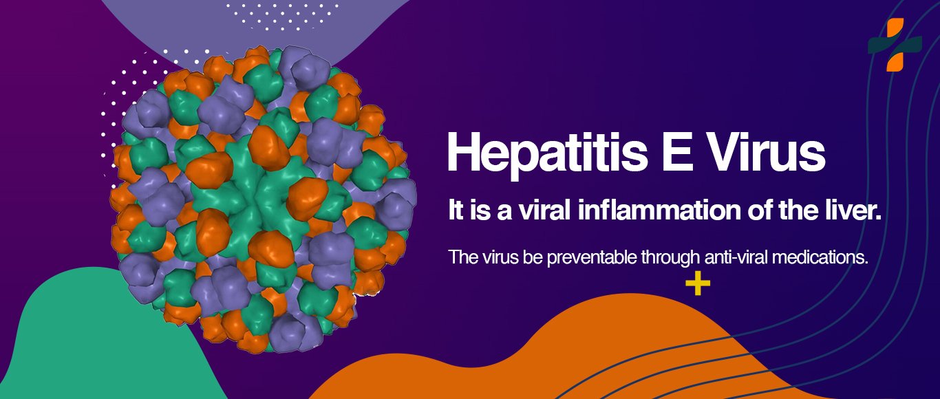 How Hepatitis E Virus Spreads?